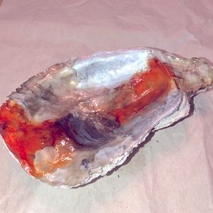 Decorative oyster shell can just sit around or use as a jewelry dish.